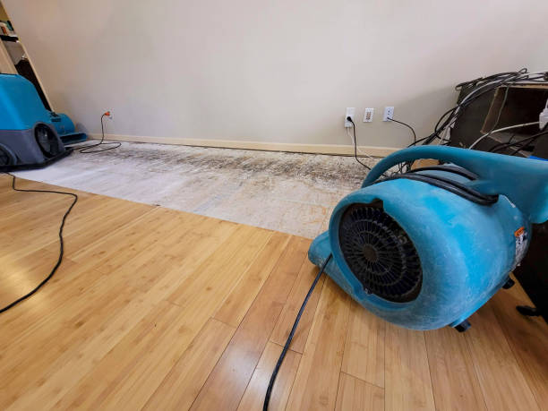 Professional Water Removal technician working in Humboldt, AZ